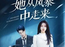 【她从风暴中走来】60集免费短剧在线高清览