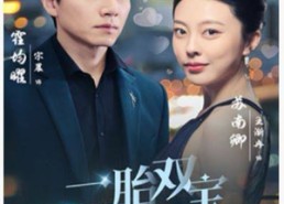 【一胎双宝，抢个总裁当爹地】100集短剧全集在线观看