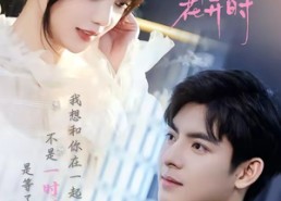 【爱在剑兰花开时】56集短剧免费全集在线赏阅