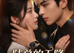 【陆总的天降夫人又美又飒】80集短剧全集畅享在线播放