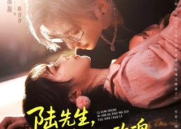 【陆先生，你捡的小玫瑰又掀桌了】74集短剧免费高清在线看