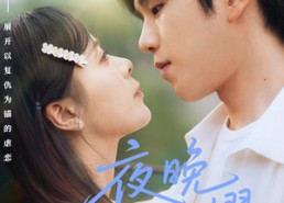 【夜晚群星闪耀】70集免费短剧全集乐看