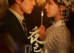 【夜色缠枝】60集短剧免费全集在线速览