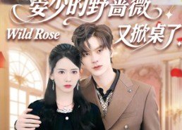 【晏少的野蔷薇又掀桌了】120集短剧在线完整观看