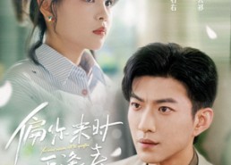 【偏你来时正逢春】61集免费短剧在线高清看