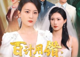 【百计用错大梦成空】40集在线免费短剧全集观瞧