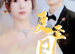 【夏至凤吟】60集高清短剧免费在线观看全集