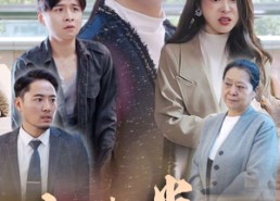 【人生半载，重头再来】30集在线观看短剧全集