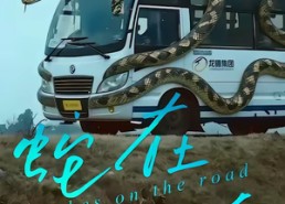 【蛇在车途】34集热门短剧免费在线看