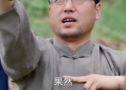 【天师大婚，一纸婚书惊天动地三界动】74集短剧免费高清在线看