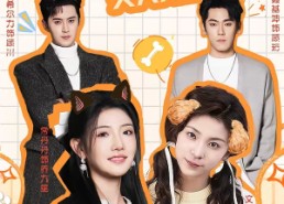 【顾少，夫人又在拆家啦】78集超火短剧免费在线赏