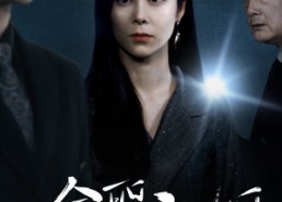 【全职主妇的华丽转身】短剧52集在线免费观赏