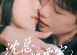 【沈总他偏要宠】75集免费短剧在线看全集