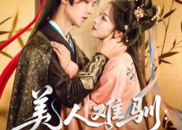 【美人难驯世子的高枝不想攀】81集在线免费看短剧全集