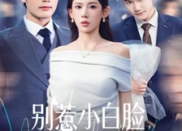 【别惹小白脸，他真是董事长】68集短剧免费全集线上观