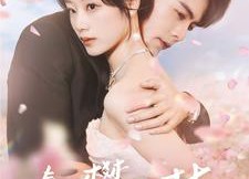 【春日攀京枝】85集短剧全集在线免费畅享