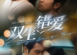 【双生错爱】59集免费在线短剧全览