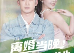 【离婚当晚，我成就无上道心】56集免费短剧在线完整观