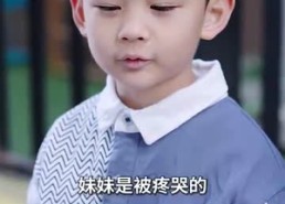 【回国后飒爽妈咪一路虐渣】82集短剧免费全集观赏