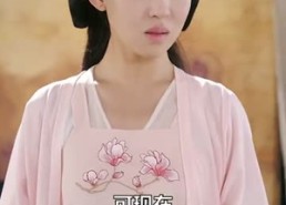 【浮灯灿烂一朝】59集全网短剧免费在线观赏