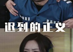 【迟到的正义】39集全集短剧在线免费观赏