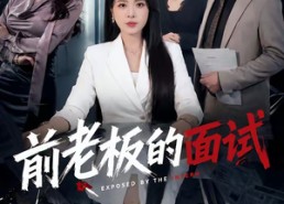 【前老板的面试】45集精彩短剧在线速看