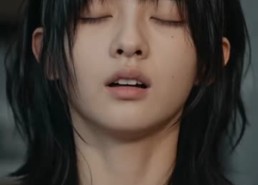 【风吹起的那片羽毛】83集完整短剧免费在线观看
