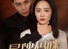 【她似迷雾】80集短剧免费全集畅观