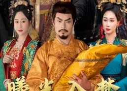 【曦光入梦震山河】60集在线短剧免费尽情看