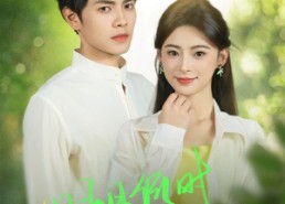 【明月何时照他还】73集优质短剧在线赏览