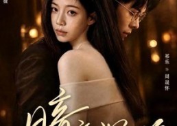 【暗夜沉欢】87集短剧在线播放高清无广告