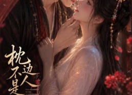 【枕边人不是心上人】59集短剧全集免费赏看