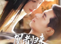 【凰者归来，大小姐飒翻全场】58集短剧免费在线全剧览