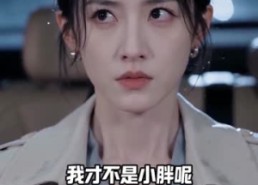 【老公的上班搭子】65集短剧全集流畅在线观看