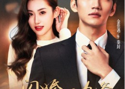 【闪婚后九爷马甲藏不住了】90集短剧免费高清看