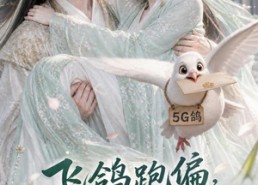 【飞鸽跑偏，我的心事落进王爷掌心】31集短剧全集免费尽情观看