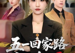 【五一回家路之以身入局】61集短剧全集免费在线览观