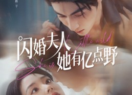 【闪婚夫人她有亿点野】60集短剧免费全集视看