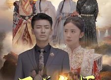 【至尊傻婿】82集短剧免费高清在线看