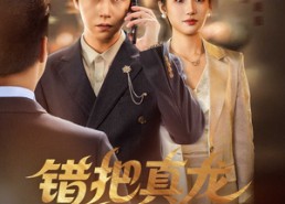 【错把真龙当废婿】60集免费短剧在线赏览