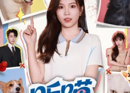 【听喵一声劝】60集短剧免费在线全集赏看