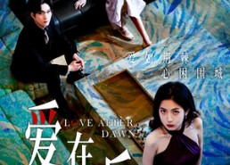 【爱在黎明后】40集精彩短剧免费在线欣赏