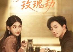 【月笼玫瑰劫】80集短剧免费在线全集览