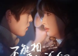 【不能相爱的我们】50集在线短剧免费全剧看