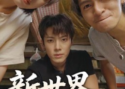 【新世界：城寨双雄】58集免费短剧全集在线览