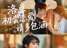 【洛总初尝恋爱请多包涵】72集短剧免费高清在线看