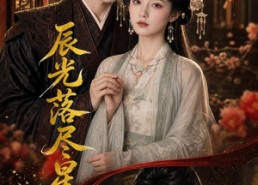 【辰光落尽星长明】48集短剧免费高清观看