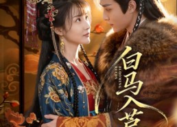 【白马入芦花】59集短剧免费全集流畅观看