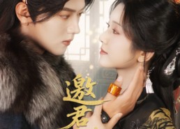 【邀君共余生】61集高清短剧在线观看全集