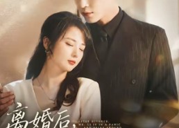 【离婚后，厉先生急得团团转】82集短剧全集在线免费瞧